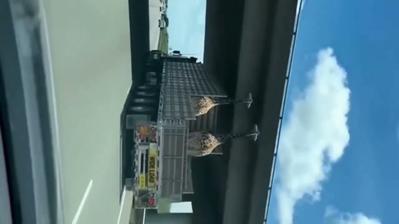 首を曲げて見てね！