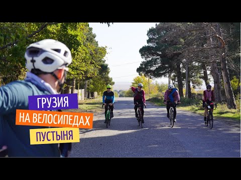 Едем в пустныю в Грузии