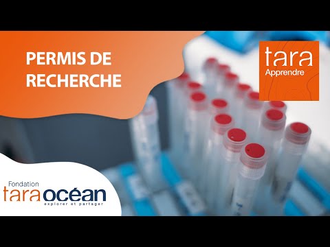 TarApprendre : Comment obtient on des permis de recherche pour une expédition océanographique ?