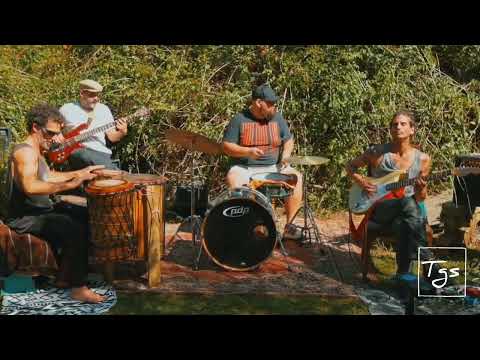 Participación del ciclo TGS 