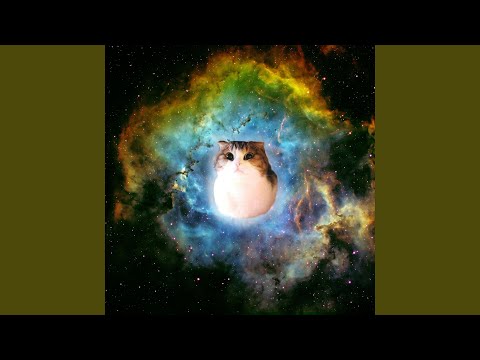 Ultrasonic Kitten Blaster (feat. Mindelve)