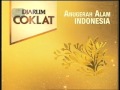 Indosiar Djarum Coklat