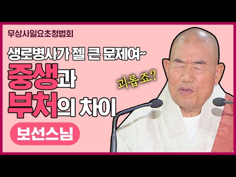 대표사진