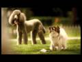 Philips Jaw Dropper By Matt And Steve Freelance Creative Team