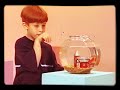 Sesame Street Episode 3879 FULL
