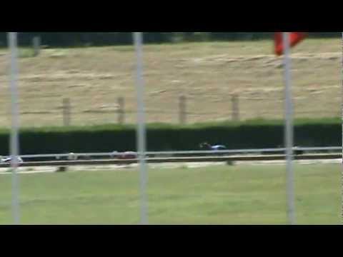 Federation Trophy  - Moonlight-Hunter Poppyseed