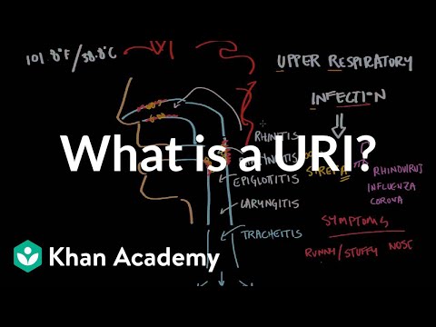 What is an upper respiratory infection (URI)? | NCLEX-RN | Khan Academy