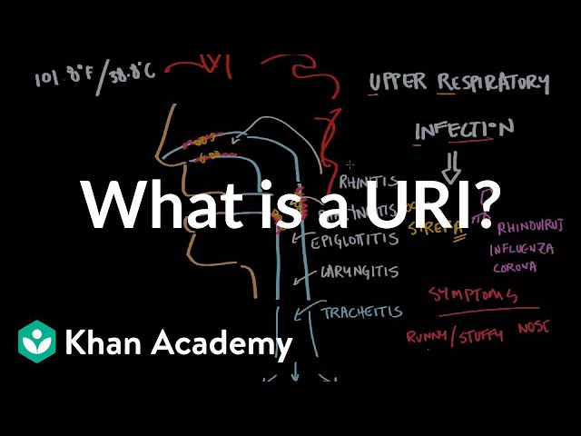 Video Pronunciation of Tracheitis in English Video Pronunciation of Tracheitis in English