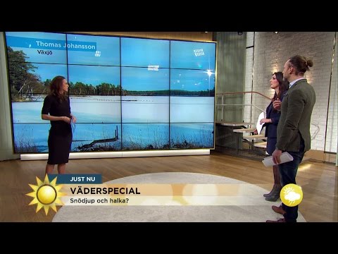 Väderspecial: Sol i hela landet - Nyhetsmorgon (TV4)