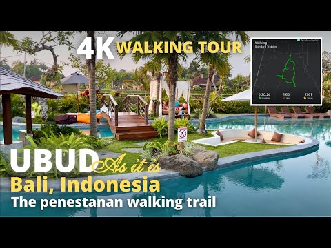 Ubud Bali Indonesia: 4K Virtual Walking Tour | Relax 4K video | The penestanan walking trail