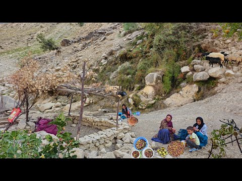 Номадски живот | Свакодневне борбе номадских девојака ⛰️ | Дивље смокве и нар Номадска авантура ✨