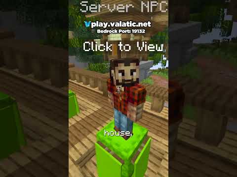NEW Public Minecraft SMP Server 1.20 (Free to Join)
