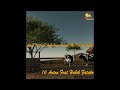 A2 Di Fulani - Artou Ft. Habib Fatako [Official Lyric Video]