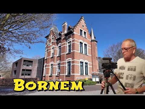 Bornem in bloei: het spektakel dat je moet zien