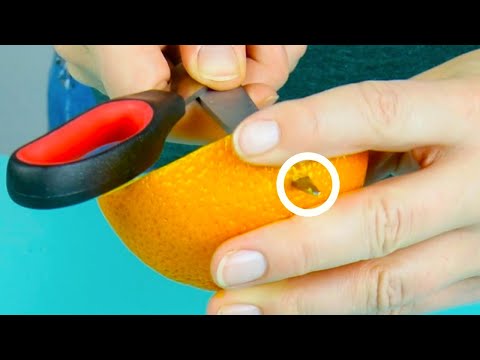 庭の知識: ヘビーフィーダー 庭の練習