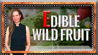 Edible Wild Plants: 3 Things You Ought To Know