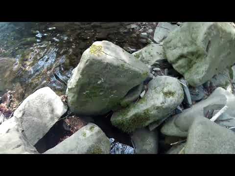 Pesca a spinning Limentra di Sambuca