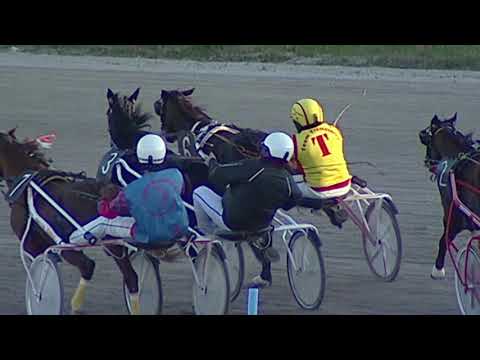 Aversa trotto 28 Dicembre 2019 - Corsa Pony Trotter