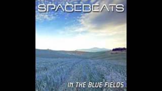 Submantra & Big Mojo pres. Spacebeats - In the blue fields (DJ Umbi remix).m4v