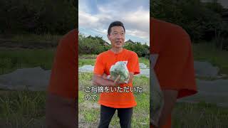 #くまのプーさん #津幡町 #参政党