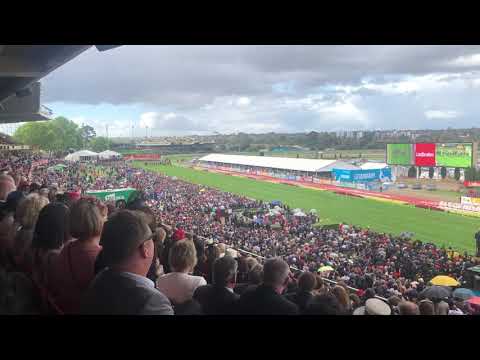 2019 Cox Plate - Lys Gracieux (JPN) Wins - Grandstand view