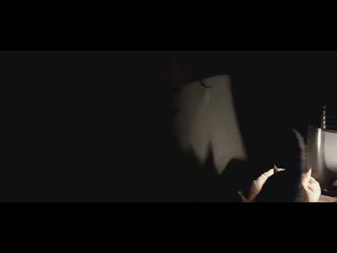 my cats are thugs 2.11.24(2)