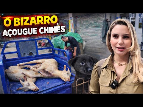 Trilha Global and QUESTIONE-SE