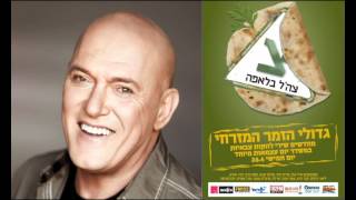 אילו ציפורים