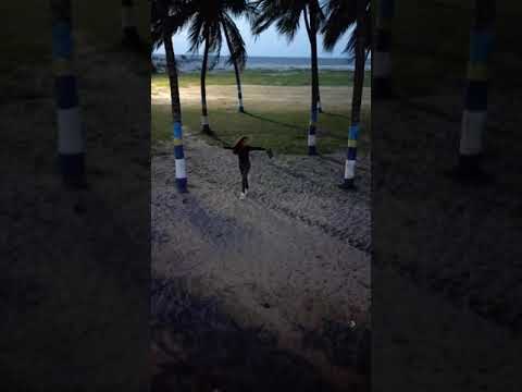 playa bonita felicidades