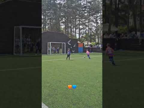 Video-Miniaturansicht