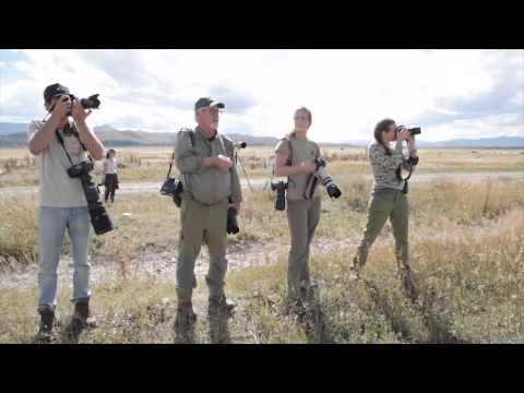 The Art of Wildlife Photography with Tom Mangelsen