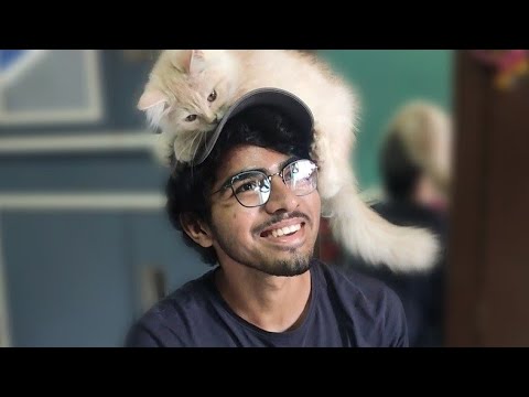 I met the cutest cat ever!!