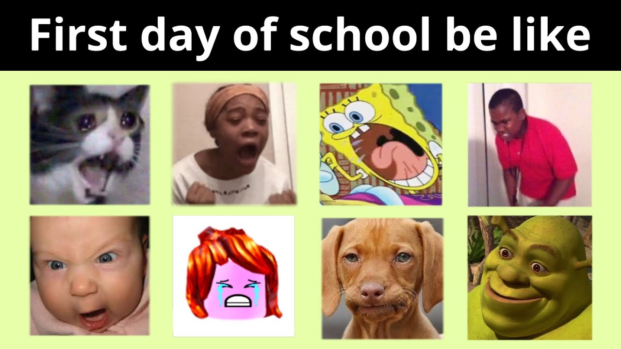 Roblox meme maker…