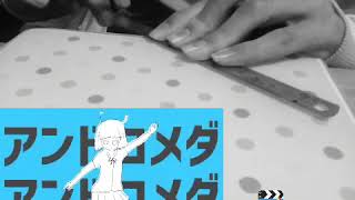 定規で弾いてみたwwwwwwww「アンドロメダアンドロメダ」