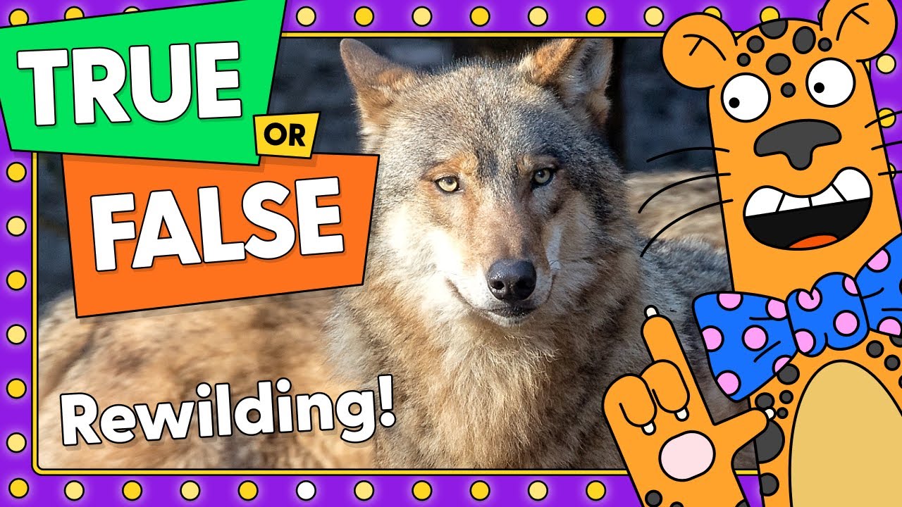 Rewilding Quiz!
