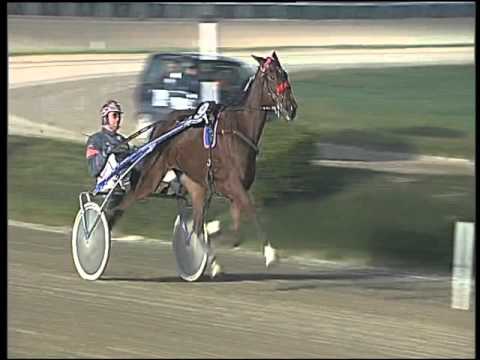 Trotto 24/12/2015 - 6° corsa