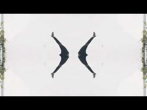 VYSHAK |DANCE VLOG 2| D4DANCE FINALIST|