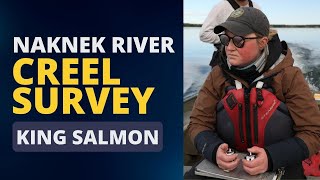Naknek River Creel Survey