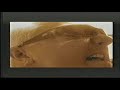 Goldfinger - Only a Day