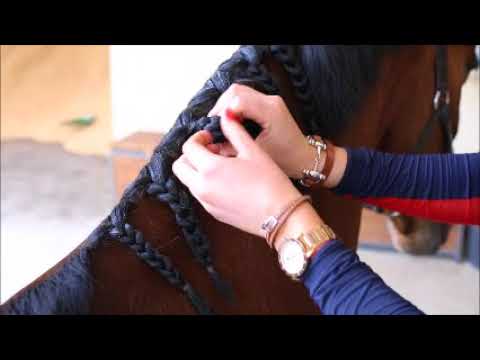 download lagu mp3 mp4 How To Use Quick Knots, download lagu How To Use Quick Knots gratis, unduh video klip How To Use Quick Knots