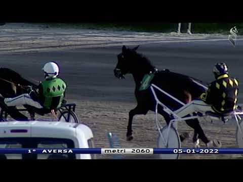 Aversa trotto 5 Gennaio 2022 - 1° Corsa