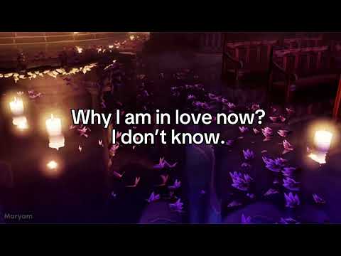 Erika - I don’t know English Lyrics