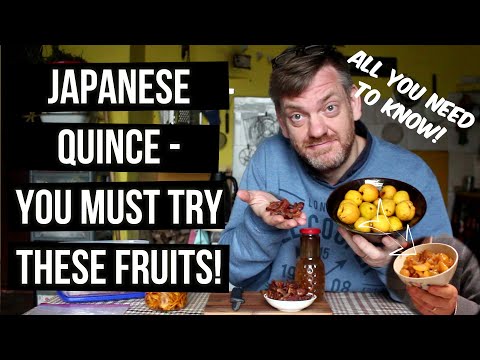 Japanese Quince / Cidonija- You must try these fruits