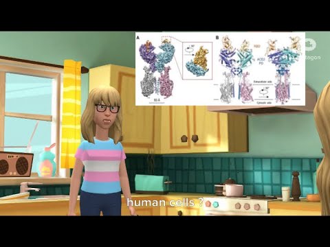 About the angiotensin-converting enzyme 2 (ACE2).