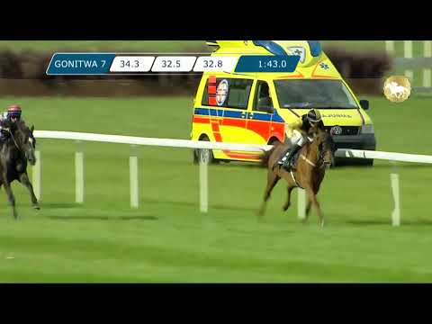 UAE President CUP Central European Arabian Derby - (Dzień 18; Gonitwa 7)