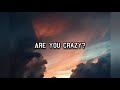 R U CRAZY [official lyrical video]