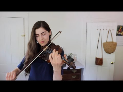 THE WREN ✨ Traditional melody