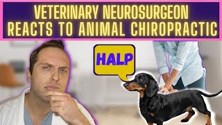 Vet Neurologist Reacts to TikTok Animal Chiropractors