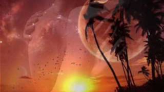 Calido - El Calor