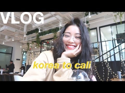 每週 Vlog | 在韓國與我的觀眾們一起玩耍，自發前往卡利 (Weekly Vlog | Hanging out with my viewers in Korea, spontaneous trip to Cali)